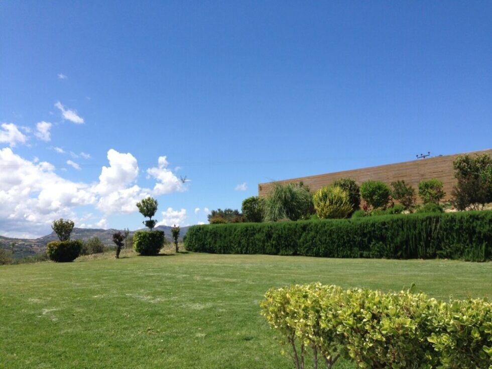 Vineyard wedding Crete